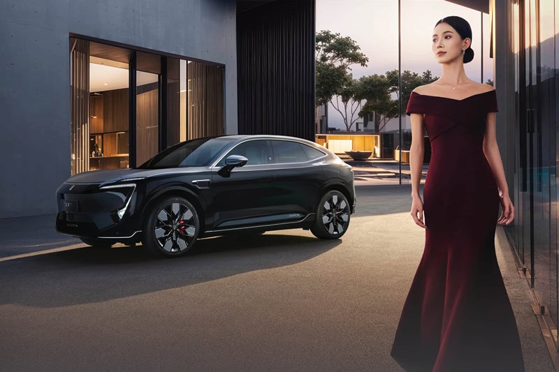 AVATR 11 Royal Edition