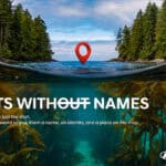 Hyundai เปิดแคมเปญ Forests Without Names ตั้งชื่อป่าใต้ทะเลทั่วโลก Hyundai