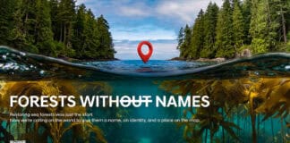 Hyundai เปิดแคมเปญ Forests Without Names ตั้งชื่อป่าใต้ทะเลทั่วโลก Hyundai