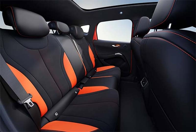 BYD Dolphin G