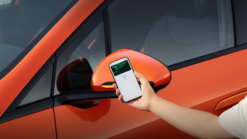 BYD Dolphin G
