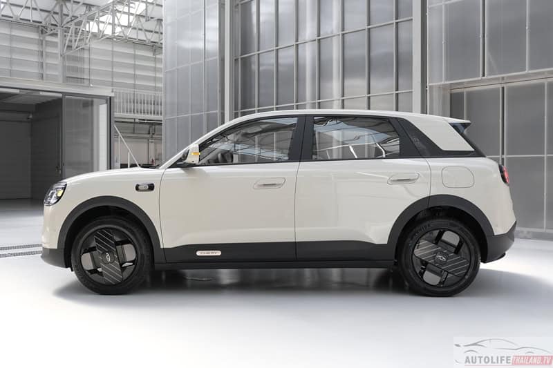CHERY Q